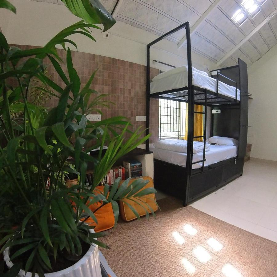 Benomadic Eco Hostel, Madikeri, Coorg Suntikoppa المظهر الخارجي الصورة