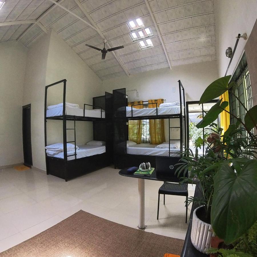 Benomadic Eco Hostel, Madikeri, Coorg Suntikoppa المظهر الخارجي الصورة