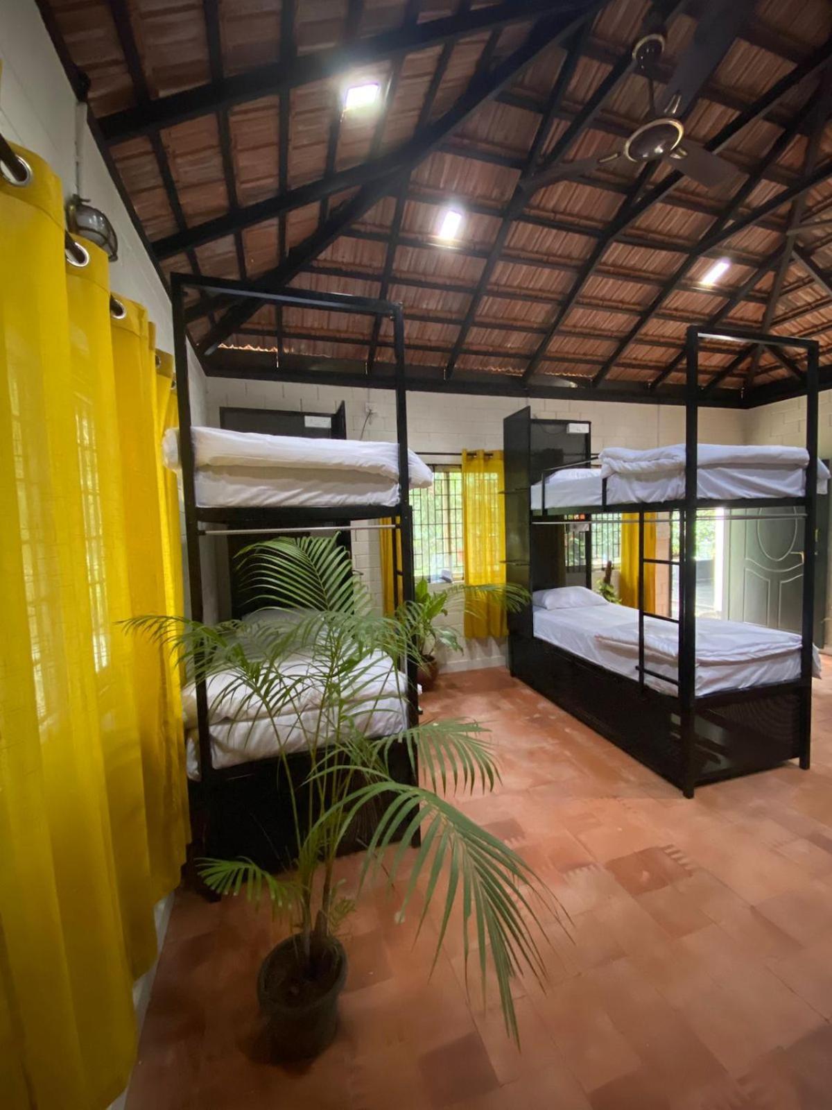 Benomadic Eco Hostel, Madikeri, Coorg Suntikoppa المظهر الخارجي الصورة
