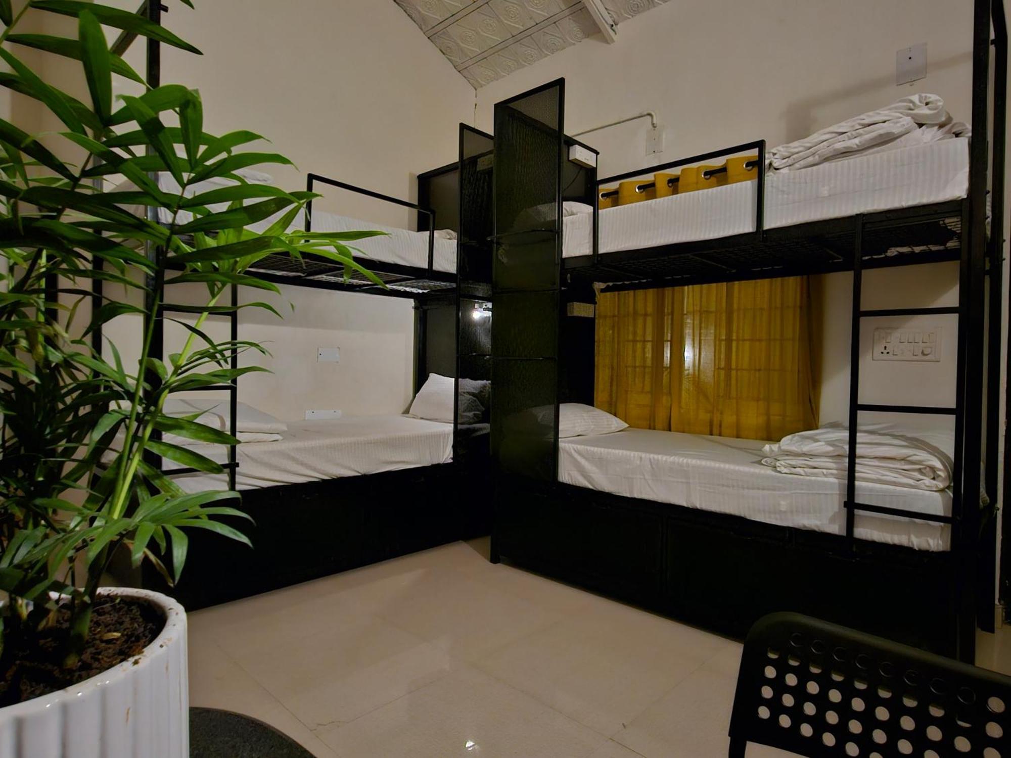 Benomadic Eco Hostel, Madikeri, Coorg Suntikoppa المظهر الخارجي الصورة