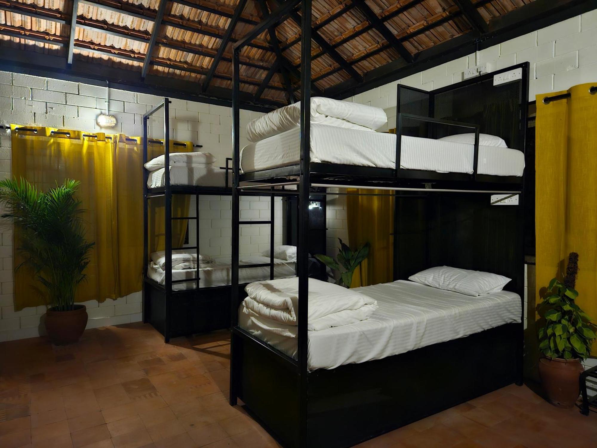 Benomadic Eco Hostel, Madikeri, Coorg Suntikoppa المظهر الخارجي الصورة