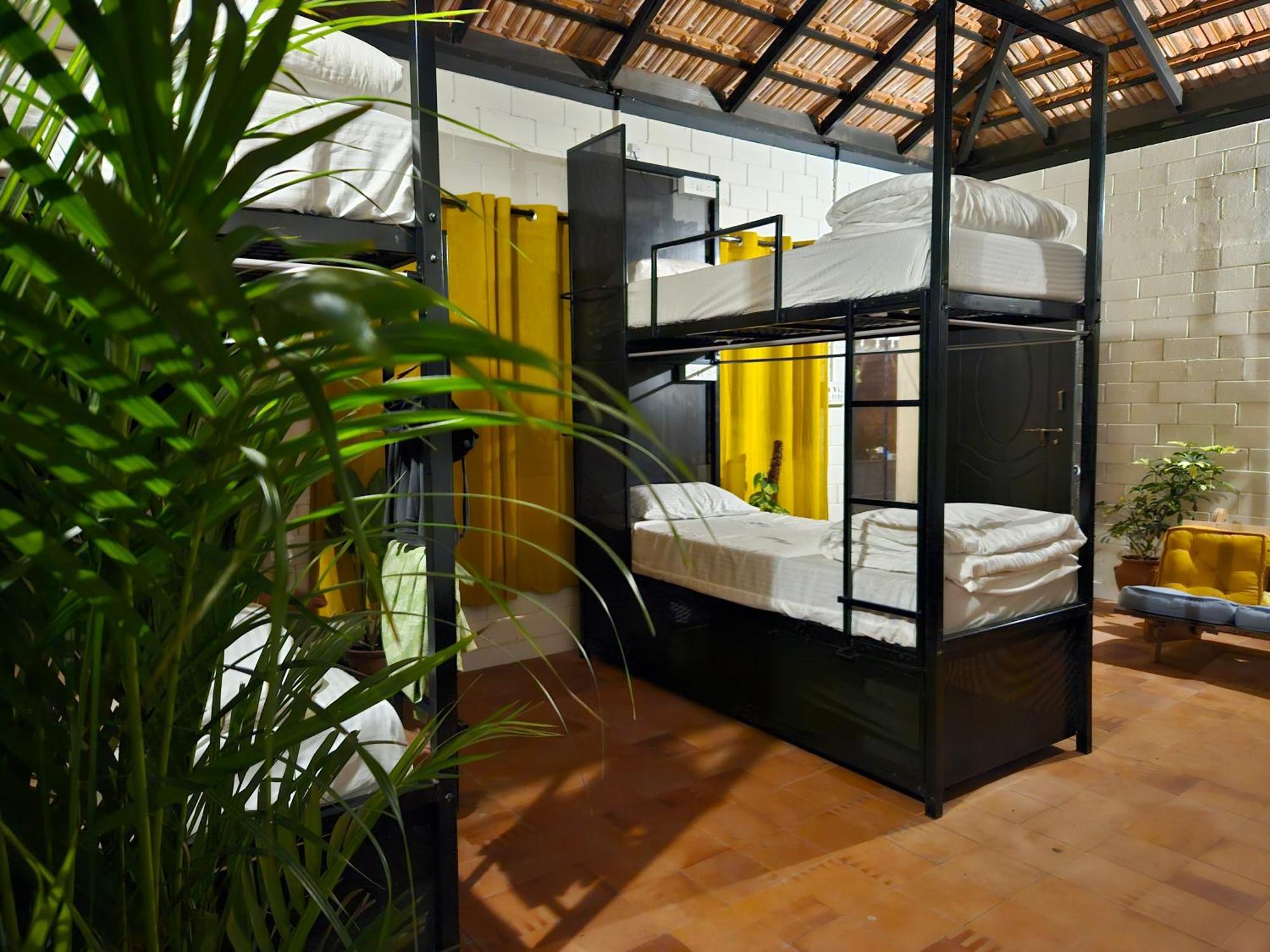 Benomadic Eco Hostel, Madikeri, Coorg Suntikoppa المظهر الخارجي الصورة