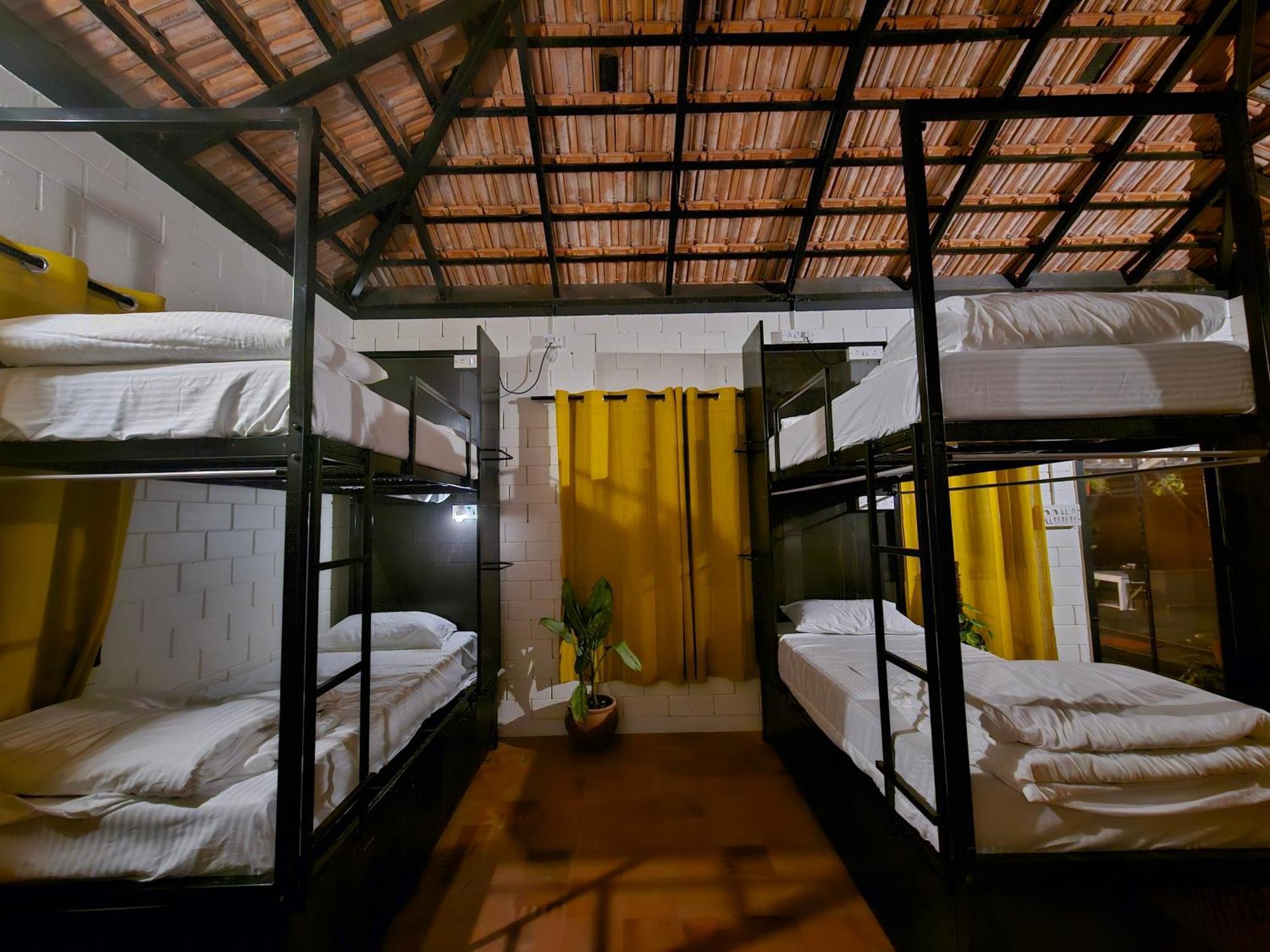 Benomadic Eco Hostel, Madikeri, Coorg Suntikoppa المظهر الخارجي الصورة