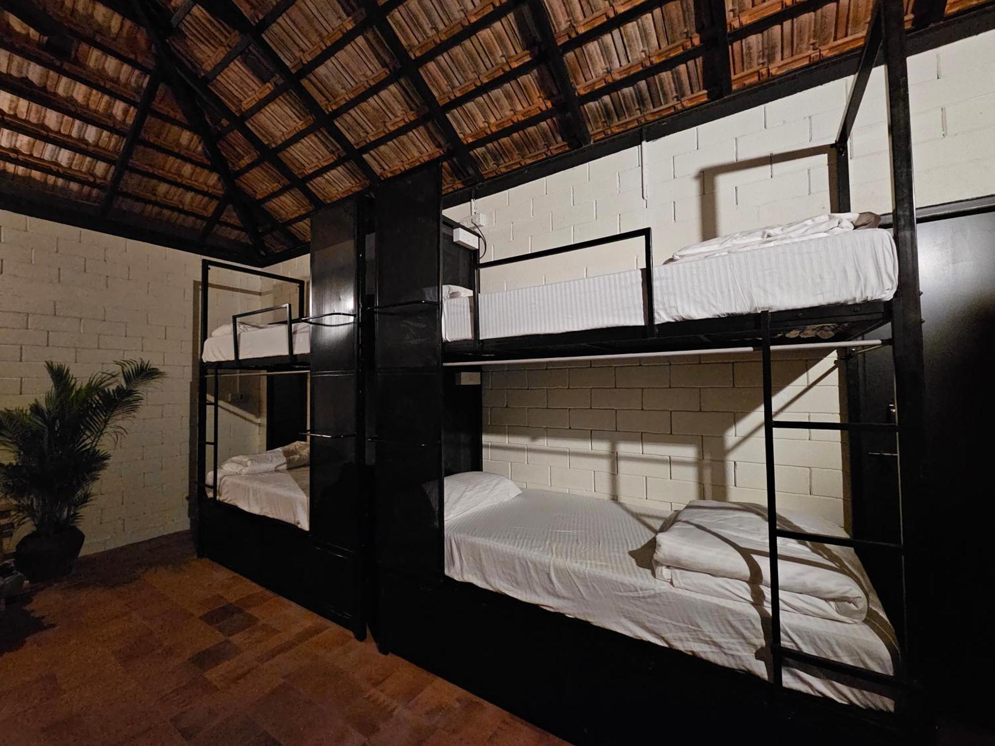 Benomadic Eco Hostel, Madikeri, Coorg Suntikoppa المظهر الخارجي الصورة