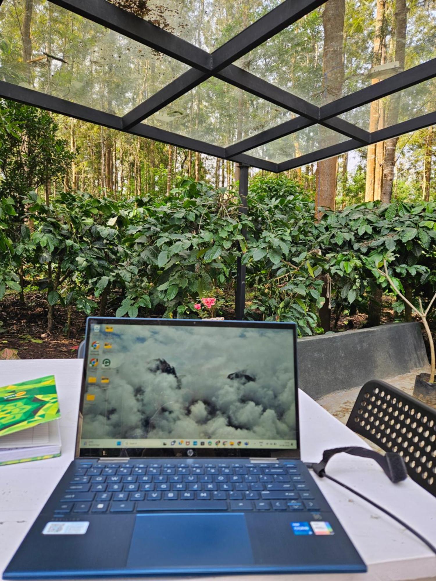 Benomadic Eco Hostel, Madikeri, Coorg Suntikoppa المظهر الخارجي الصورة